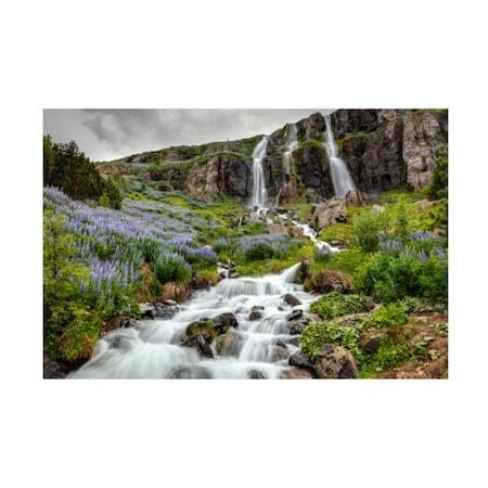 Trademark Fine Art Pierre Leclerc 'Seydidfjordur Waterfall' Canvas Art, 16x24 PL00517-C1624GG
